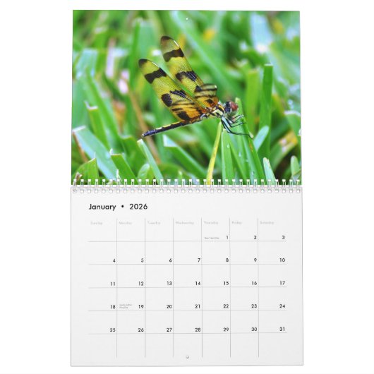 Florida Wildlife Kalender (Jan 2026)