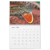 Florida Wildlife Kalender (Mar 2027)