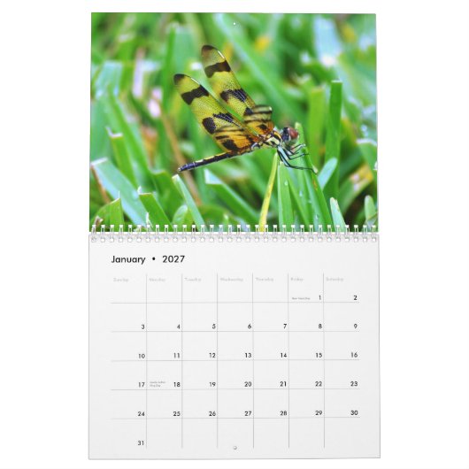 Florida Wildlife Kalender (Jan 2027)