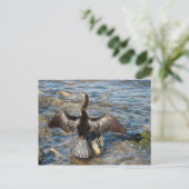 Florida Wildlife - vogels Briefkaart (Staand voorkant)