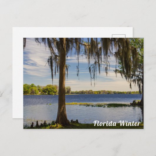 Florida Winter Briefkaart (Voorkant / Achterkant)