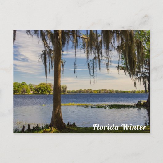 Florida Winter Briefkaart (Voorkant)
