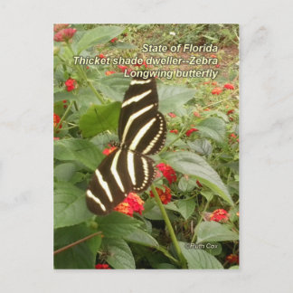 Florida Zebra Longwing Butterfly Briefkaart
