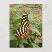 Florida Zebra Longwing Butterfly Briefkaart (Voorkant)