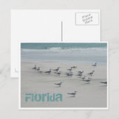 Florida Zee Birds Briefkaart (Voorkant / Achterkant)
