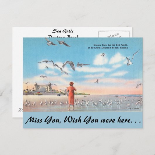 Florida, Zee Gollen, Daytona Beach Briefkaart (Voorkant / Achterkant)