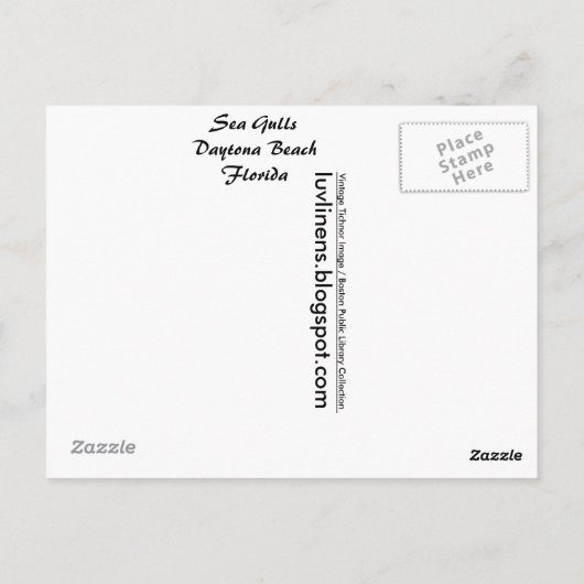 Florida, Zee Gollen, Daytona Beach Briefkaart (Achterkant)