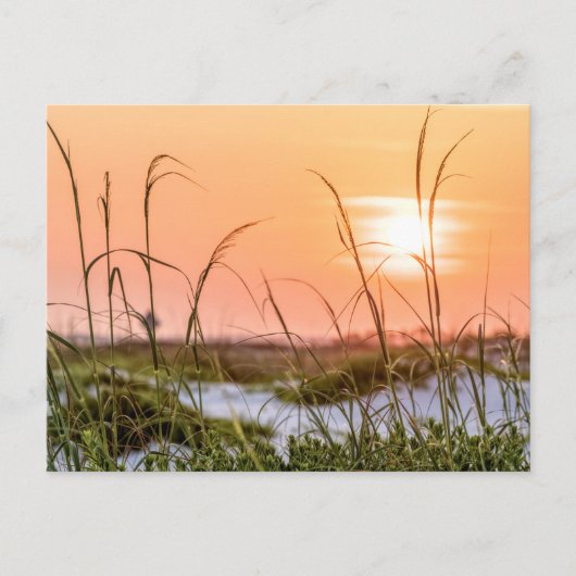 Florida Zee Oats Sunrise Post Kaart (Voorkant)