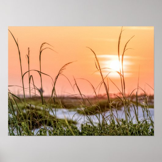 Florida Zee Oats Sunrise Poster (Voorkant)
