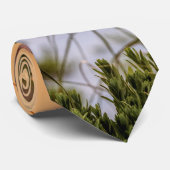 Florida Zee Oats Sunrise Stropdas (Opgerold)