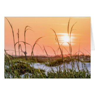 Florida Zee Oats Sunrise Wenskaart