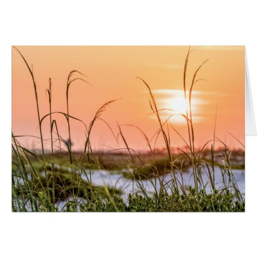 Florida Zee Oats Sunrise Wenskaart (Voorkant Horizontaal)