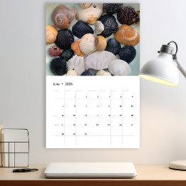 Florida Zeeschelp Fotocalender Volume 2 Kalender