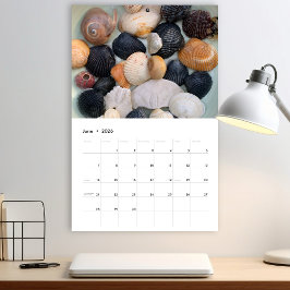 Florida Zeeschelp Fotocalender Volume 2 Kalender