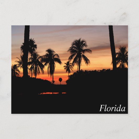 Florida zonsondergang briefkaart (Voorkant)