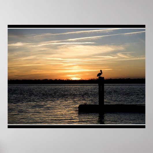Florida zonsondergang met pelikaan poster (Voorkant)