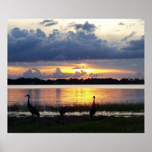 Florida Zonsondergang met tropische vogels Mount D Poster