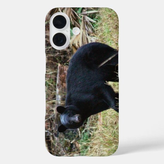 Florida zwarte beer Case-Mate iPhone case (Achterkant)