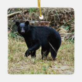 Florida Zwarte Beer Keramisch Ornament