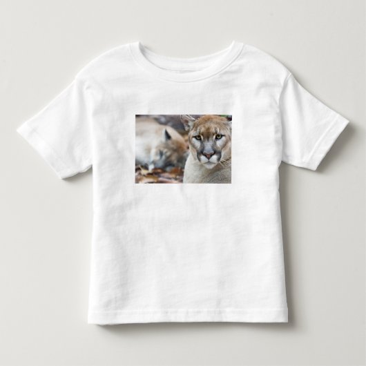 Floridaanse panter kinder shirts (Voorkant)