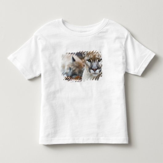 Floridaanse panter kinder shirts (Voorkant)