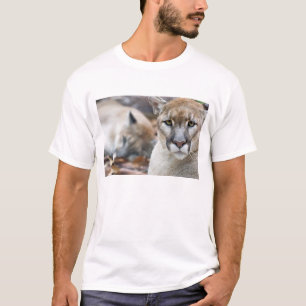 Floridaanse panter t-shirt