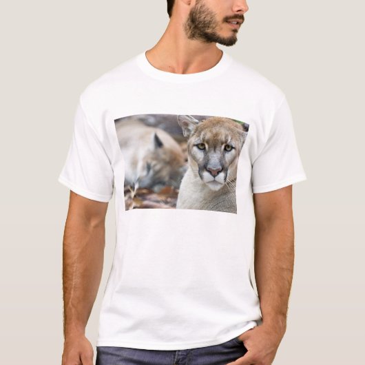 Floridaanse panter t-shirt (Voorkant)