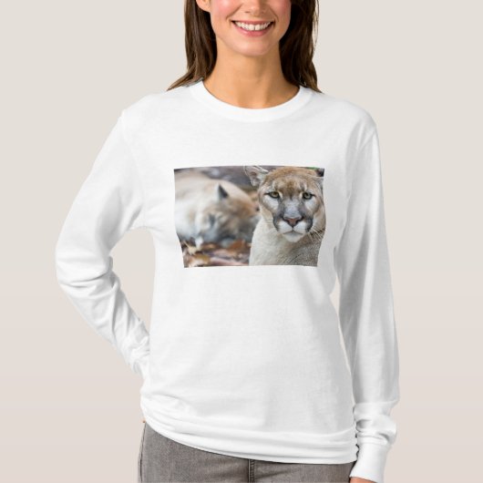 Floridaanse panter t-shirt (Voorkant)