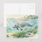Floridamanatee waterverf briefkaart (Voorkant / Achterkant)