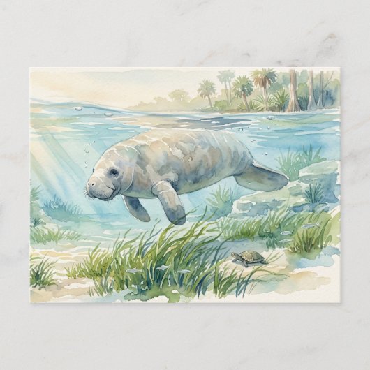 Floridamanatee waterverf briefkaart (Voorkant)