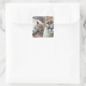 Floridapanter Vierkante Sticker (Tas)