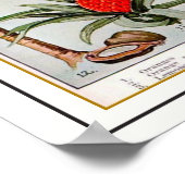 Florida's Bounty 16x20 Kaart Poster (Hoek)