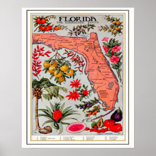 Florida's Bounty 16x20 Kaart Poster