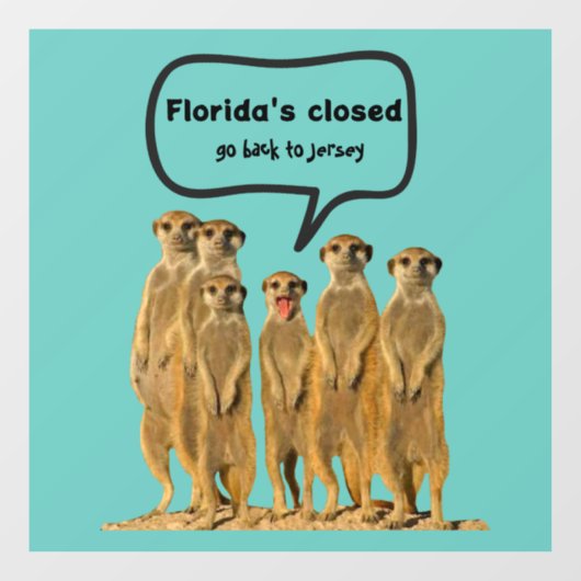 FLORIDA'S GESLOTEN FUNNY DECAL (Vel)