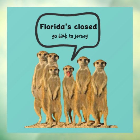 FLORIDA'S GESLOTEN FUNNY DECAL (Vel 3)