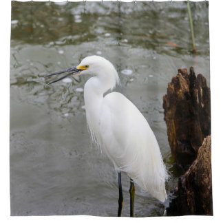 Florida's Singing Egret Douchegordijn