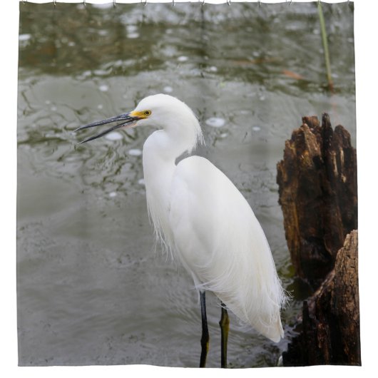 Florida's Singing Egret Douchegordijn (Voorkant)