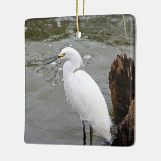 Florida's Singing Egret Keramisch Ornament (Links)