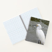 Florida's Singing Egret Notitieboek (Binnen)
