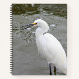 Florida's Singing Egret Notitieboek