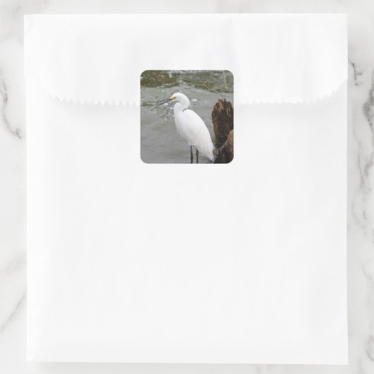 Florida's Singing Egret Vierkante Sticker (Tas)