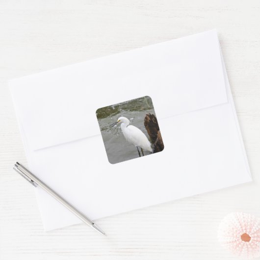Florida's Singing Egret Vierkante Sticker (Envelop)
