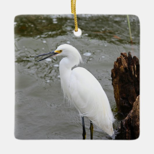 Florida's Zingende Reiger Keramisch Ornament (Voorkant)