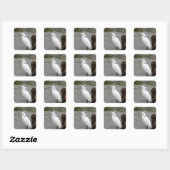 Florida's Zingende Reiger Vierkante Sticker (Vel)
