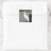Florida's Zingende Reiger Vierkante Sticker (Tas)