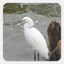 Florida's Zingende Reiger Vierkante Sticker