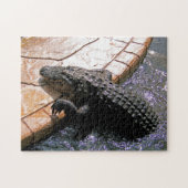 Floridian Alligator, Jigzaag Puzzle Legpuzzel (Horizontaal)