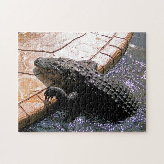 Floridian Alligator, Jigzaag Puzzle Legpuzzel (Horizontaal)