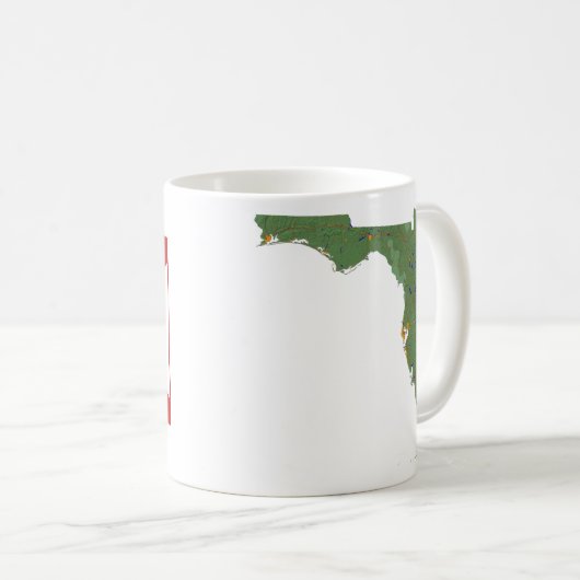 Floridian Flag + Kaart Mok (Voorkant rechts)