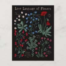 Floriograpy Liefde taal van bloemen botanisch